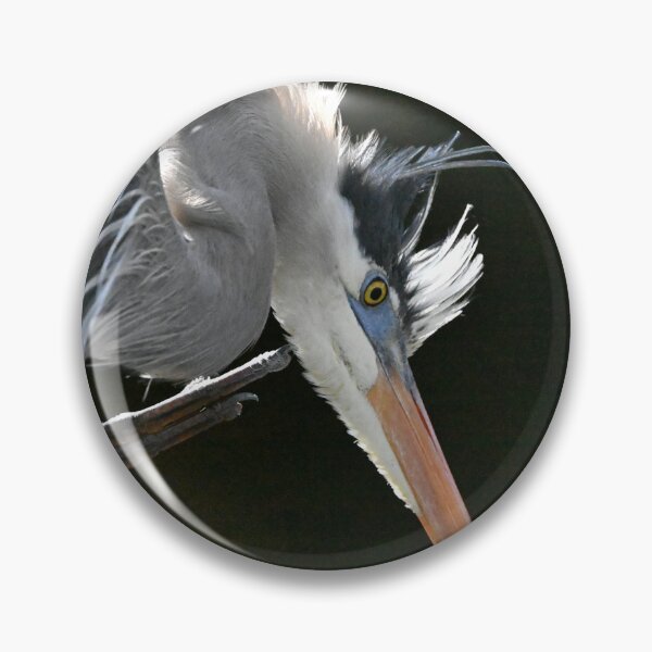 Item preview, Itchy  designed and sold by Glennphotos.