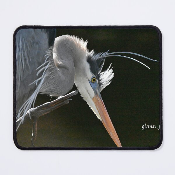 Item preview, Itchy  designed and sold by Glennphotos.