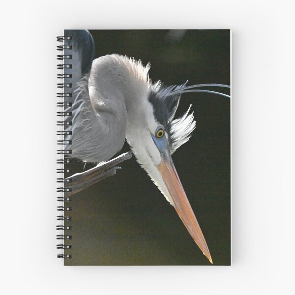 Item preview, Itchy  designed and sold by Glennphotos.