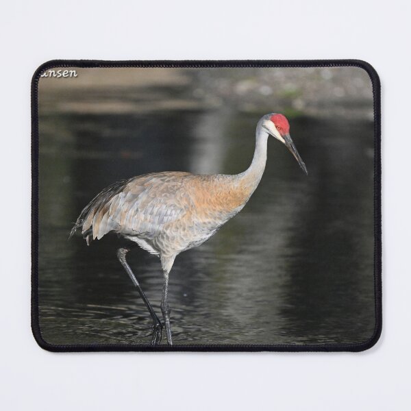 Item preview, Stream strolling designed and sold by Glennphotos.