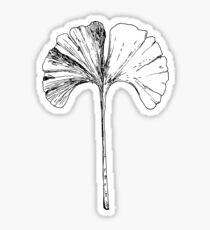 Gingko Leaf Sticker