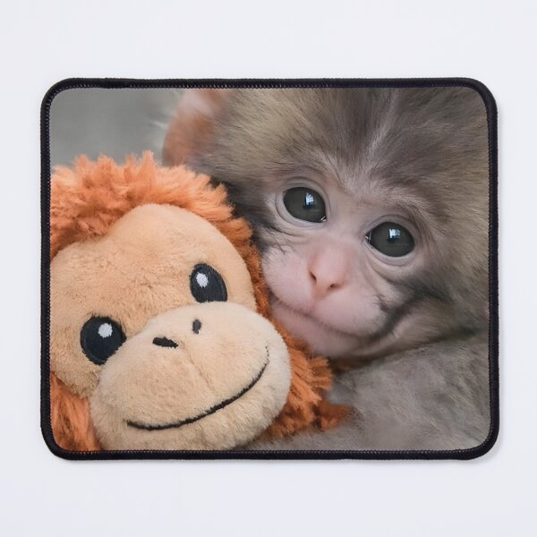 Item preview, Baby Monkey Punch and his toy friend designed and sold by 1522Shop.