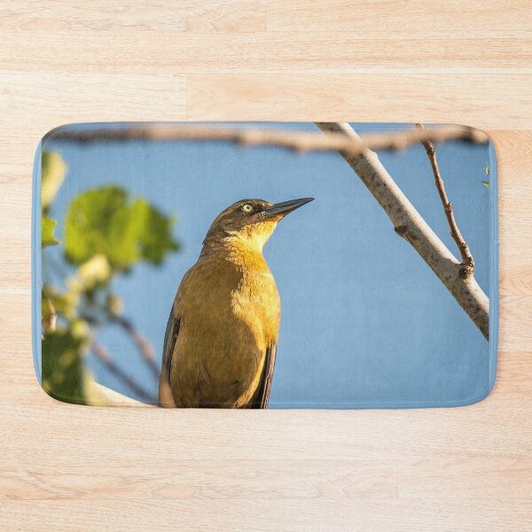 Item preview, Grackle In the Morning Sunlight designed and sold by Debra Martz.