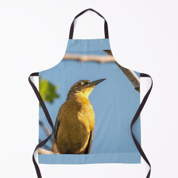 Item preview, Grackle In the Morning Sunlight designed and sold by Debra Martz.