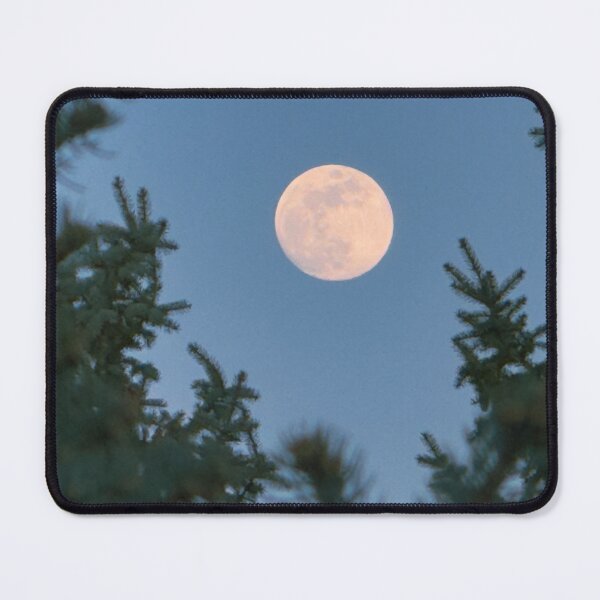 Item preview, Full Moon Through Spruce – Moody Winter Night Sky designed and sold by Jon Moffat Photography.