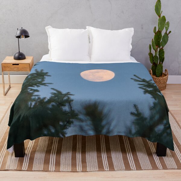 Item preview, Full Moon Through Spruce – Moody Winter Night Sky designed and sold by Jon Moffat Photography.