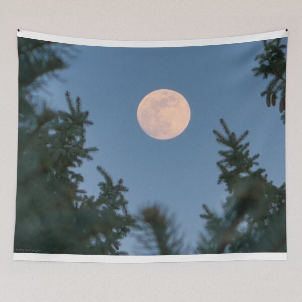 Item preview, Full Moon Through Spruce – Moody Winter Night Sky designed and sold by Jon Moffat Photography.