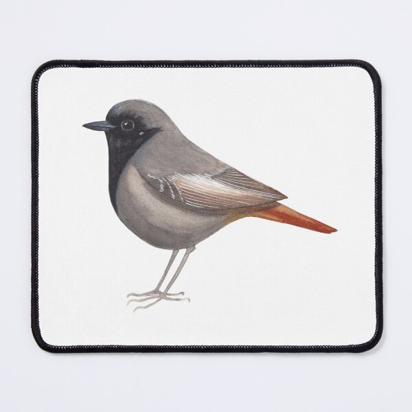 Item preview, Black Redstart bird, watercolor nature art print, elegant songbird design designed and sold by Laurus Lunaris.