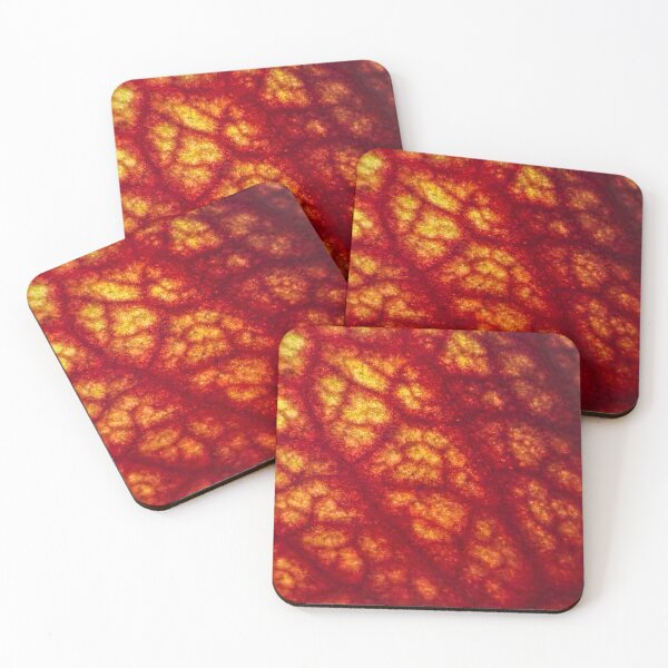 Item preview, Macro Pitcher Plant Leaf: Red Veins and Glowing Mosaic designed and sold by Jon Moffat Photography.