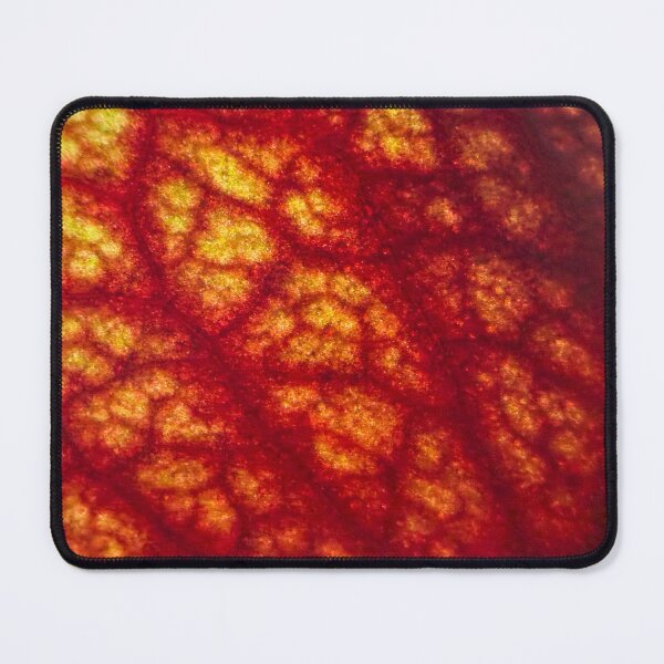 Item preview, Macro Pitcher Plant Leaf: Red Veins and Glowing Mosaic designed and sold by Jon Moffat Photography.