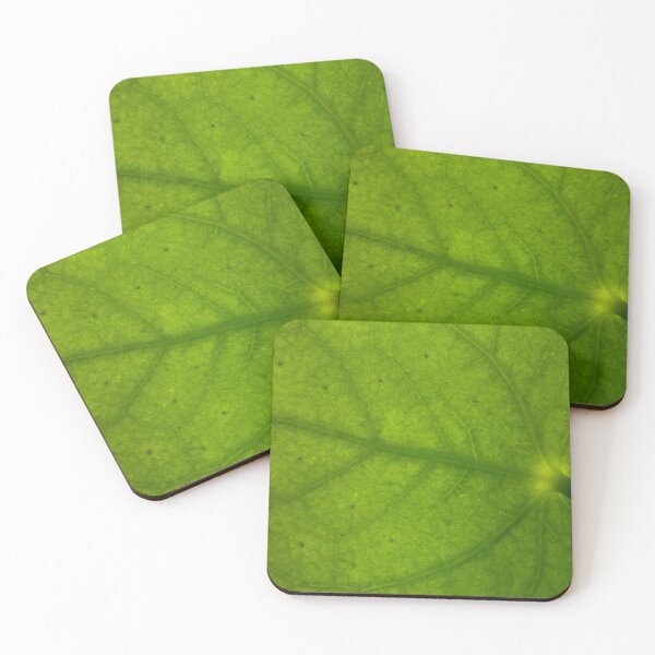 Item preview, Macro Coin Plant Leaf: Backlit Veins and Texture designed and sold by Jon Moffat Photography.