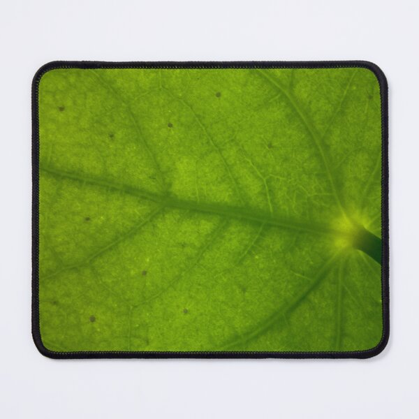 Item preview, Macro Coin Plant Leaf: Backlit Veins and Texture designed and sold by Jon Moffat Photography.