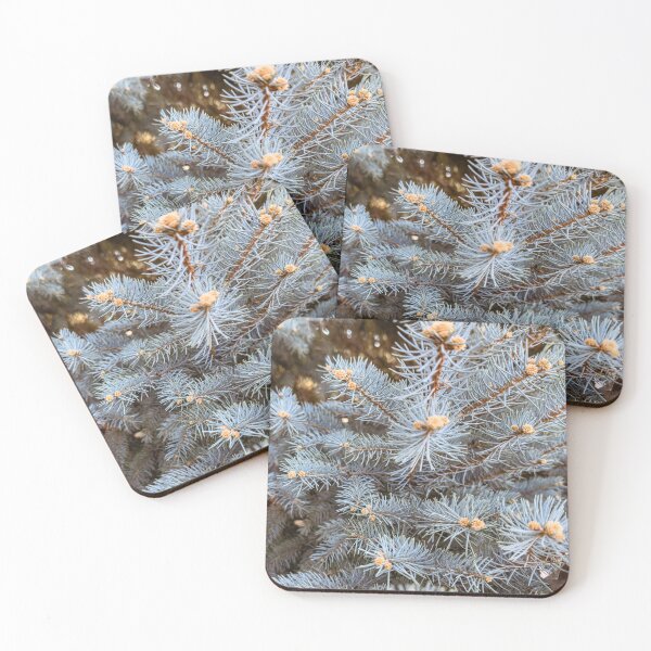 Item preview, Colorado Blue Spruce Needles Macro designed and sold by Jon Moffat Photography.