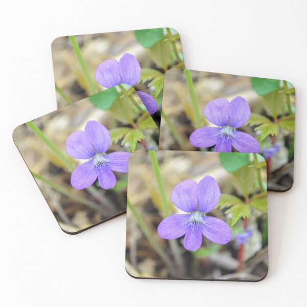 Item preview, Purple Wild Violet Botanical Nature Photography designed and sold by Blossom-Breeze.