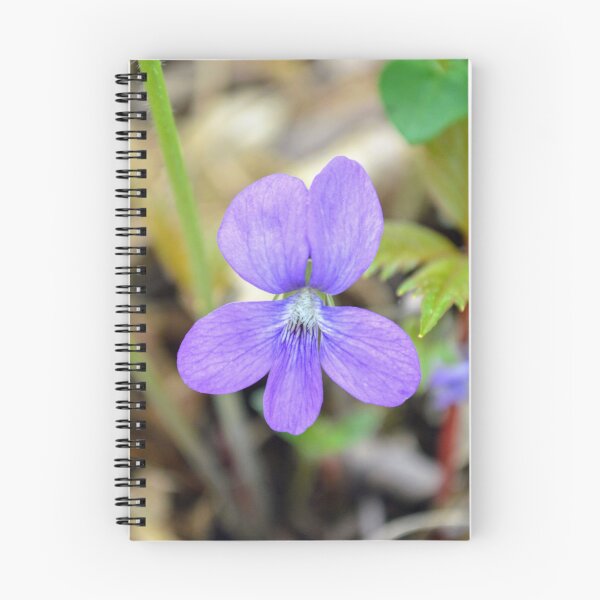Item preview, Purple Wild Violet Botanical Nature Photography designed and sold by Blossom-Breeze.