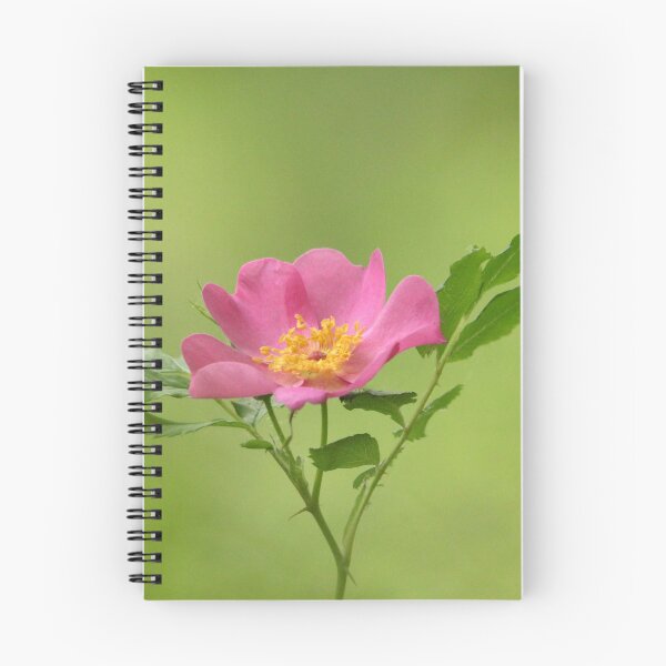 Item preview, Pink Wild Rose designed and sold by Debbie Oppermann.