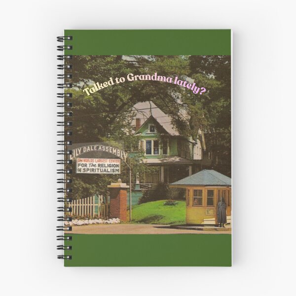 Item preview, Lily Dale: World's Largest Center for Spiritualism designed and sold by Where Troubles Melt Like Lemon Drops.