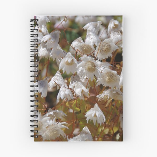 Item preview, Rhodanthe floribunda  designed and sold by lezvee.