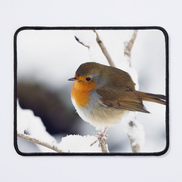 Item preview, Robin on a snow covered branch designed and sold by Stephen Jarman.
