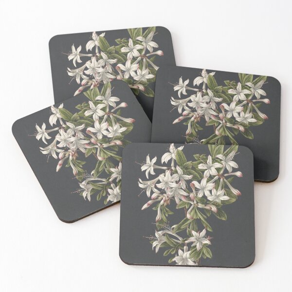 Item preview, Vintage Azalea Botanical Print, 19th Century Floral Art designed and sold by SavageVision.