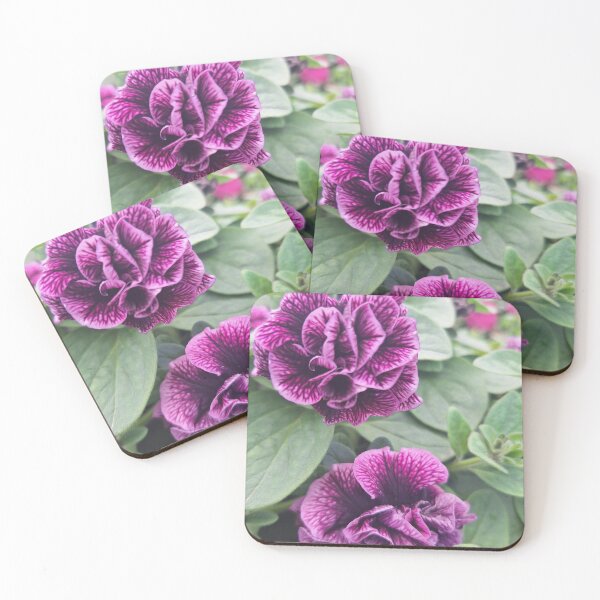 Item preview, Petunia purple flowers designed and sold by TB-73.