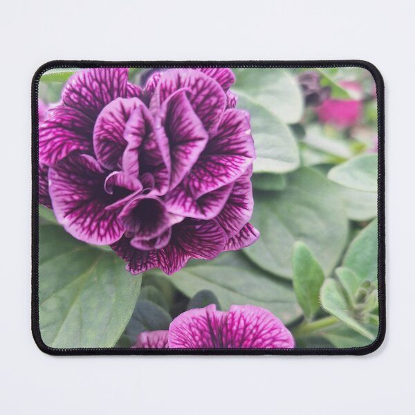 Item preview, Petunia purple flowers designed and sold by TB-73.