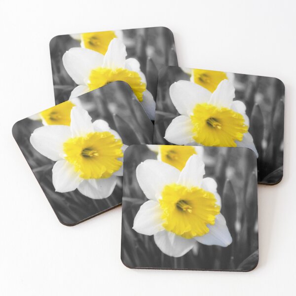 Item preview, Selective Color Yellow Daffodil Bloom on Black and White designed and sold by Blossom-Breeze.