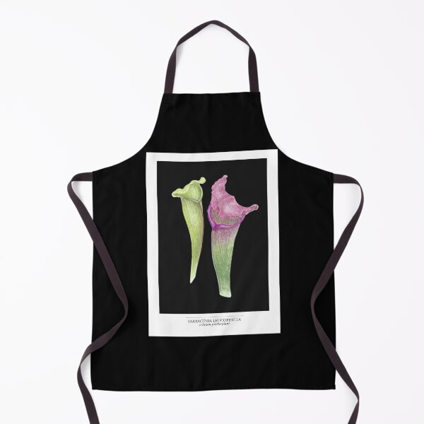 Item preview, Sarracenia Leucophylla – Crimson Pitcher Plant Botanical Illustration | Dark Academia Art (black) designed and sold by paintingbetween.