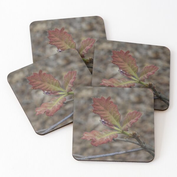 Item preview, New Growth: Red Oak Leaves in Spring designed and sold by Blossom-Breeze.