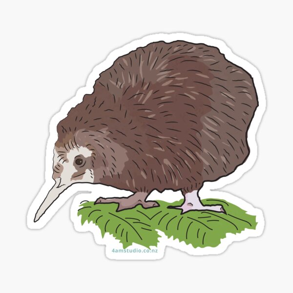 Hand Gezeichneter Vogel Geschenke Merchandise Redbubble