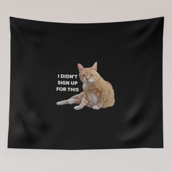 Item preview, I Didn’t Sign Up For This – Relatable Confused Cat Funny Design designed and sold by MB-CatPrints.