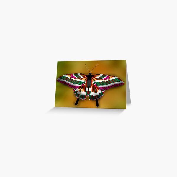 Colorful butterfly Greeting Card