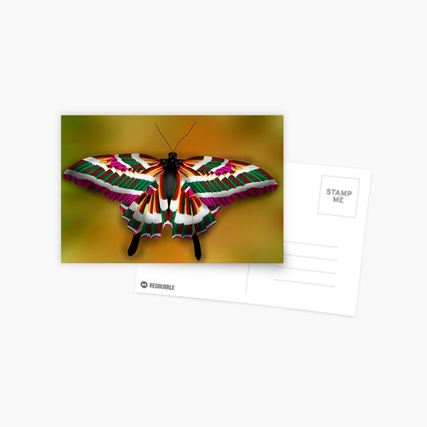 Colorful butterfly Postcard