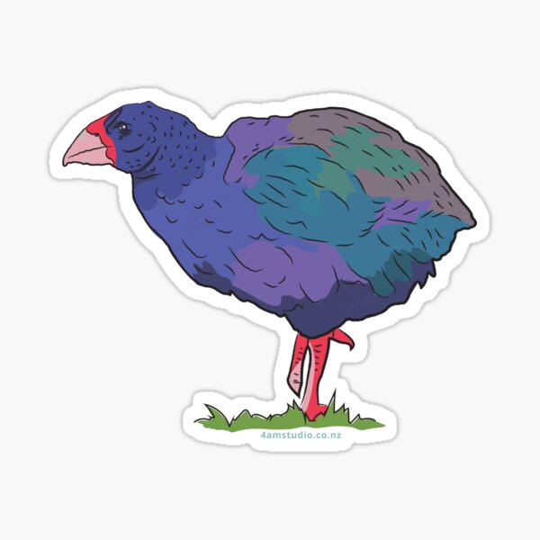 Hand Gezeichneter Vogel Geschenke Merchandise Redbubble