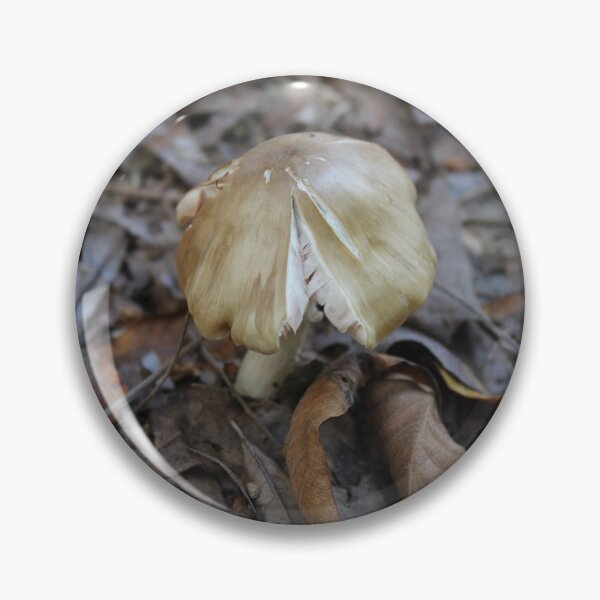 Item preview, Pluteus Cervinus: The Deer Mushroom in Autumn Leaf Litter designed and sold by Blossom-Breeze.