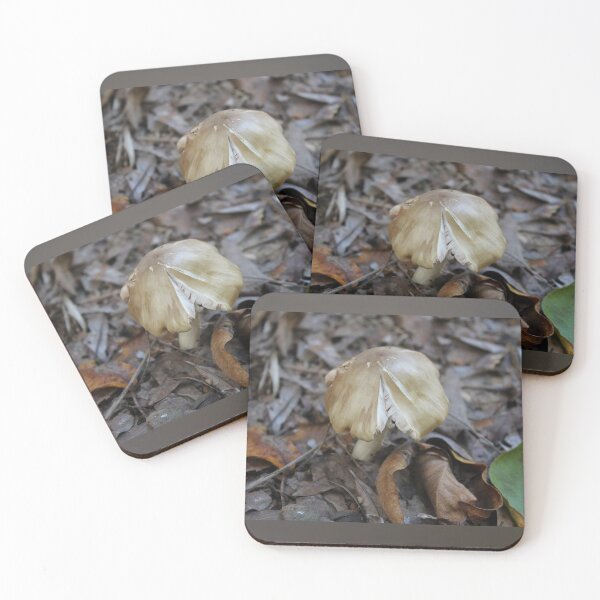 Item preview, Pluteus Cervinus: The Deer Mushroom in Autumn Leaf Litter designed and sold by Blossom-Breeze.