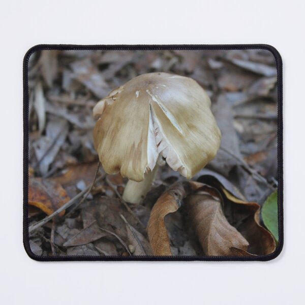 Item preview, Pluteus Cervinus: The Deer Mushroom in Autumn Leaf Litter designed and sold by Blossom-Breeze.