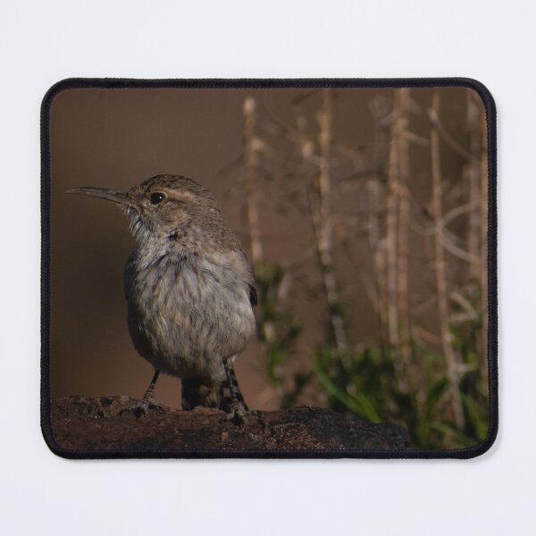 Item preview, Little Wren designed and sold by Morgs22Dis.