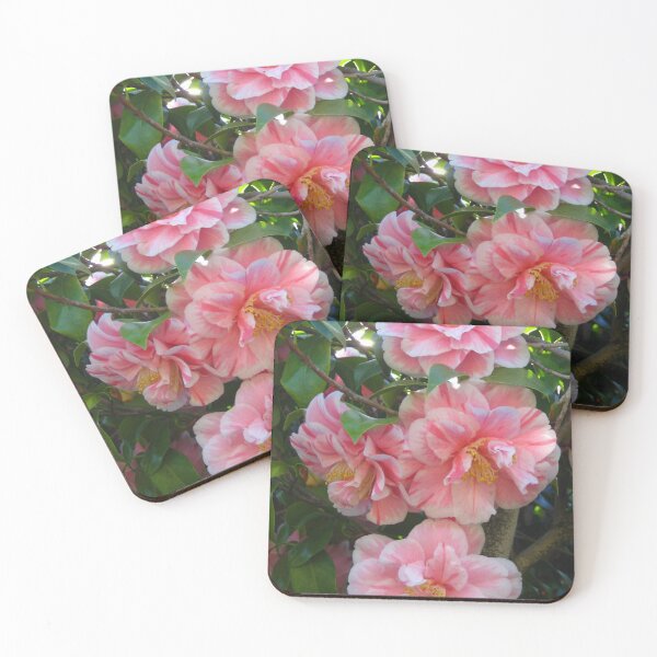 Item preview, Variegated Pink and White Herme Camellia Blossoms Dancing on the Tree designed and sold by JoyousArt4u.