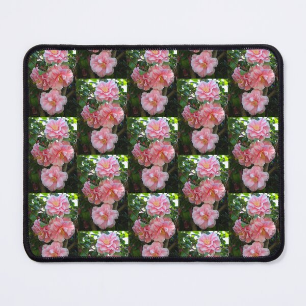 Item preview, Variegated Pink and White Herme Camellia Blossoms Dancing on the Tree designed and sold by JoyousArt4u.