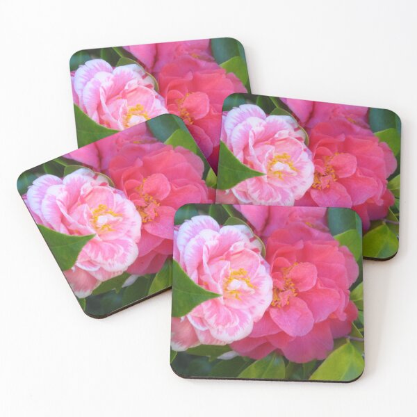 Item preview, Two Camellias, Lovely Yet Unique on the Same Tree designed and sold by JoyousArt4u.