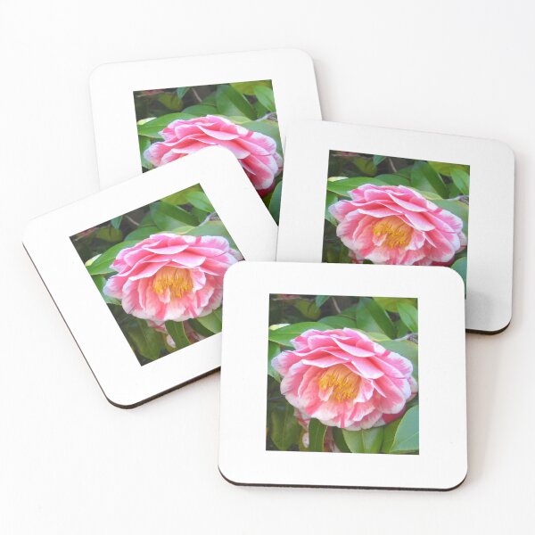 Item preview, Herme Camellia: Peppermint Pink and White designed and sold by JoyousArt4u.