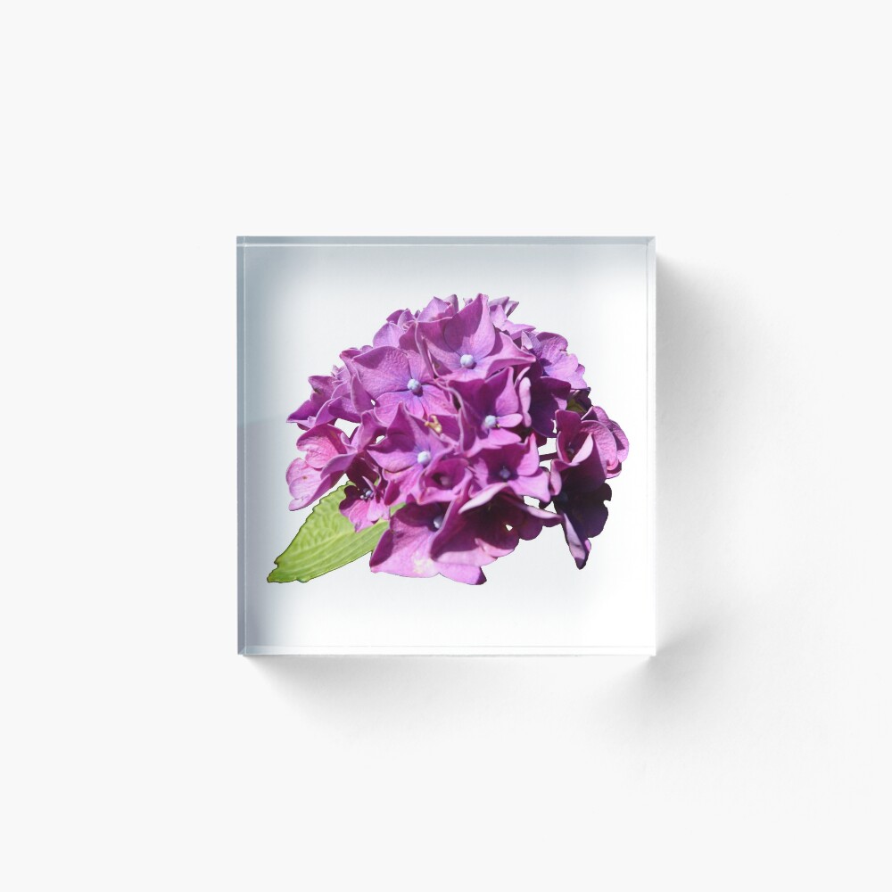 Item preview, Acrylic Block designed and sold by Howlites.