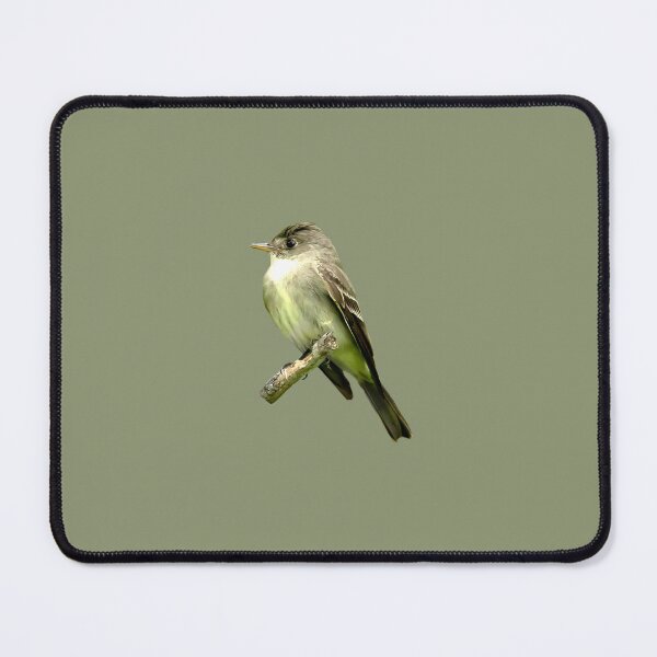 Item preview, Pewee bird perched on a branch designed and sold by KRFNatureGifts.