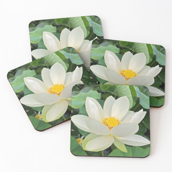 Item preview, White lotus flower in full bloom designed and sold by Poplartree.