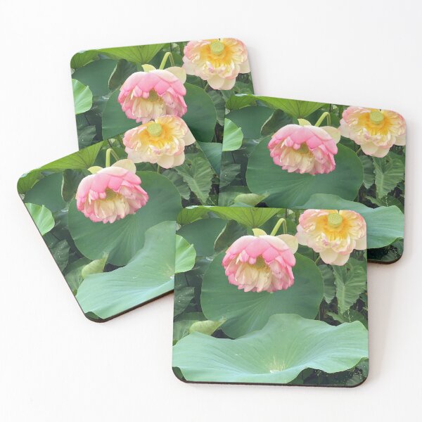 Item preview, Lotus flower in the rain designed and sold by Poplartree.