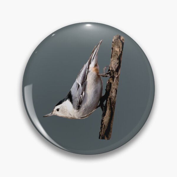 Item preview, White breasted nuthatch upside down designed and sold by KRFNatureGifts.