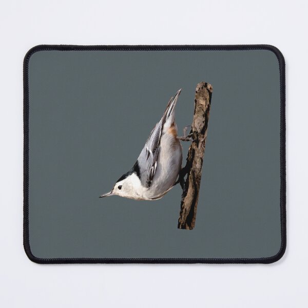Item preview, White breasted nuthatch upside down designed and sold by KRFNatureGifts.