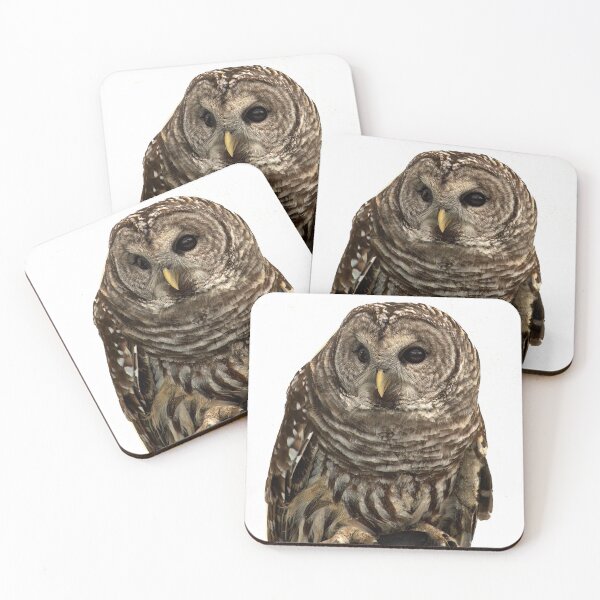 Item preview, Barred Owl Portrait designed and sold by Armadillo222.