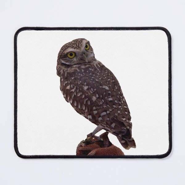 Item preview, Burrowing Owl Night Portrait designed and sold by Armadillo222.